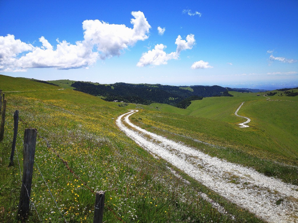 Grassy plateaus of the Lessinia Regional Nature Park, with a path and flowering meadows