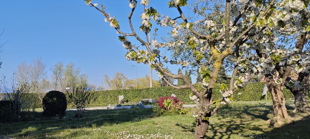 Prywatny ogród GioiaSulGarda
